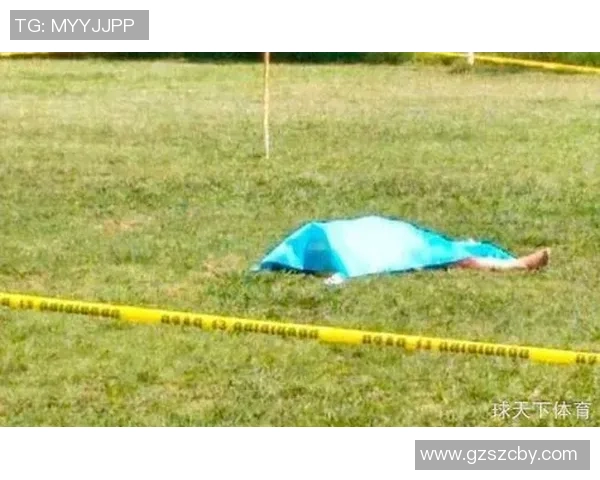 愤怒球迷赛后失控围殴当红球星引发社会对体育精神的深刻反思 愤怒球迷赛后失控围殴当红球星引发社会对体育精神的深刻反思