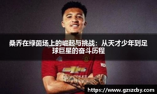 桑乔在绿茵场上的崛起与挑战：从天才少年到足球巨星的奋斗历程